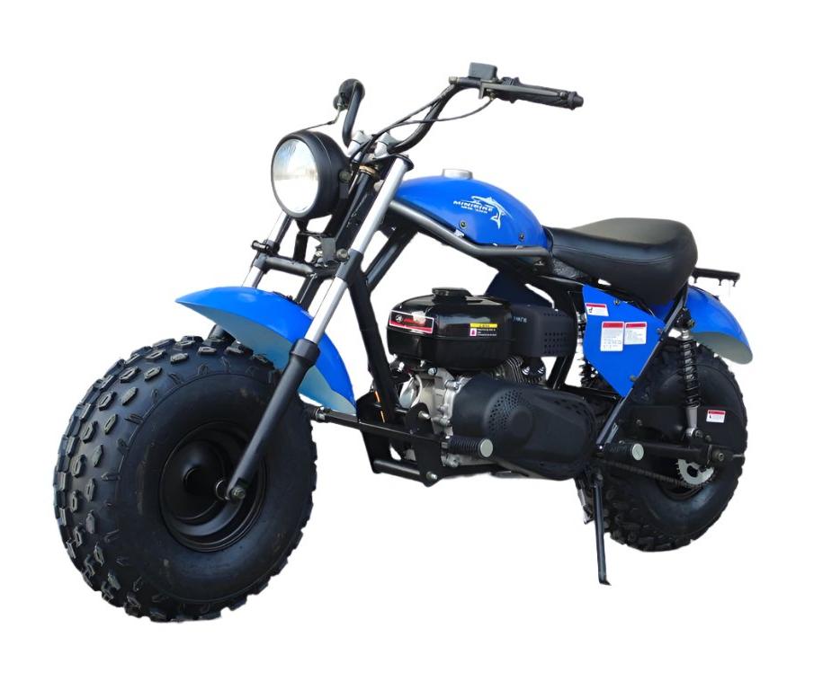 TrailMaster Monster Dog II Mini Bike, 196cc 6.5hp with Torque Converte – GoKarts USA®