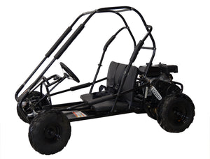 MID-Size XRS Go Kart 7.5hp, Pull Start, Kids Ages 8 and up, Adults up to 6'1"