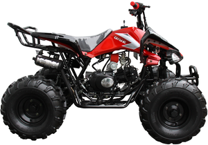 125R Mid-Sized Sport ATV, with Reverse, 8 inch Wheels AGE 12-16 (3125CX2)