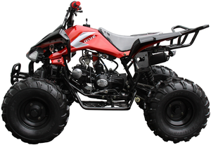 125R Mid-Sized Sport ATV, with Reverse, 8 inch Wheels AGE 12-16 (3125CX2)