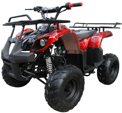 Mini 110cc Utility ATV, Gas Engine, Parental Remote Control 6 inch Wheels AGES 8-12 TOP SELLER