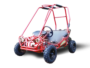 MINI XRS+ Kids Go Kart, 5.5hp Gas Engine, Dual Seats, Adjustable Pedals, Pull Start, Kids Ages 4-9