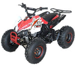 ATVs - GoKarts USA®