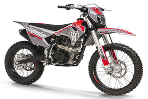 new! TrailMaster MX250 Dirt Bike 5-Speed Manual Dual Disc Brakes, Electric Start (21/18) - GoKarts USA®