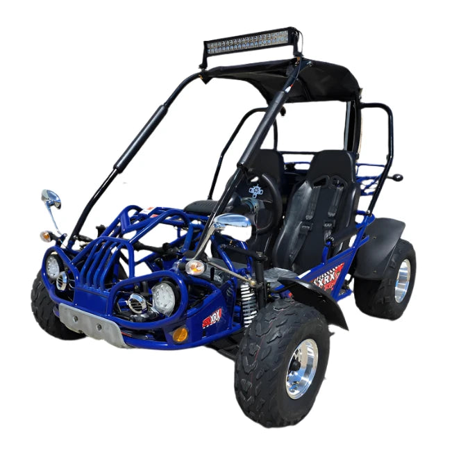 200 XRX Deluxe Buggy Go Kart, Alloy Wheels, Lights, Turn Signals