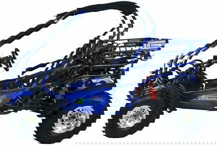 300 XRX-E Dune Buggy Go Kart, EFI Fuel Injected, Liquid Cooled, Shaft Drive, Alloy Wheels - GoKarts USA®