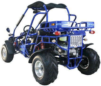 300 XRX-E Dune Buggy Go Kart, EFI Fuel Injected, Liquid Cooled, Shaft Drive, Alloy Wheels - GoKarts USA®
