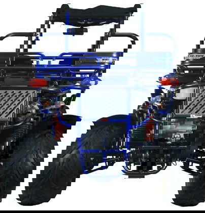 300 XRX-E Dune Buggy Go Kart, EFI Fuel Injected, Liquid Cooled, Shaft Drive, Alloy Wheels - GoKarts USA®