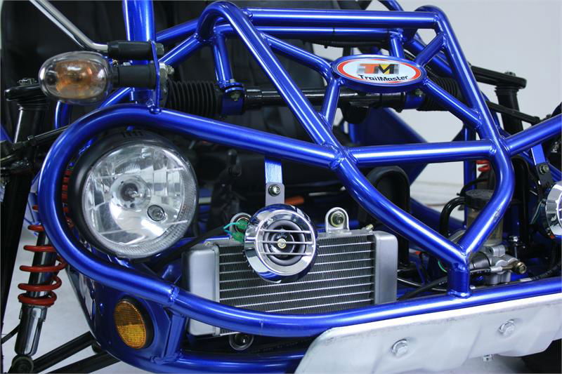 300 XRX-E Dune Buggy Go Kart, EFI Fuel Injected, Liquid Cooled, Shaft Drive, Alloy Wheels - GoKarts USA®