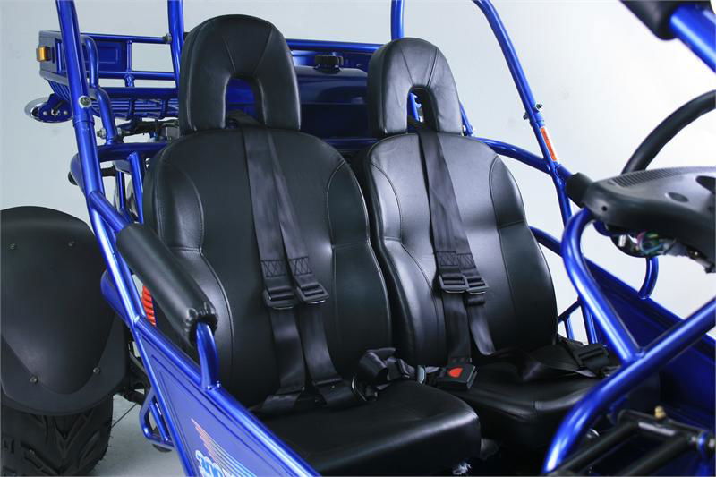 300 XRX-E Dune Buggy Go Kart, EFI Fuel Injected, Liquid Cooled, Shaft Drive, Alloy Wheels - GoKarts USA®