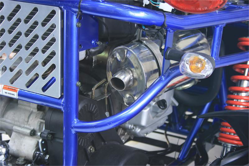 300 XRX-E Dune Buggy Go Kart, EFI Fuel Injected, Liquid Cooled, Shaft Drive, Alloy Wheels - GoKarts USA®