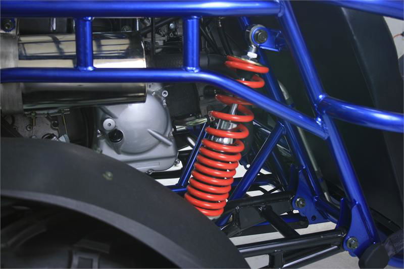 300 XRX-E Dune Buggy Go Kart, EFI Fuel Injected, Liquid Cooled, Shaft Drive, Alloy Wheels - GoKarts USA®