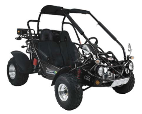 300 XRX-E Dune Buggy Go Kart, EFI Fuel Injected, Liquid Cooled, Shaft Drive, Alloy Wheels - GoKarts USA®