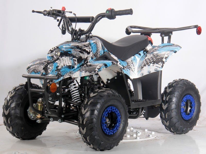 Banter 110cc ATV, 6 inch Wheels, Automatic, Remote Start/Kill