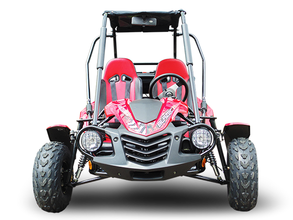 TrailMaster Blazer 200 Buggy Go Kart