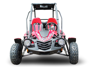 TrailMaster Blazer 200 Buggy Go Kart