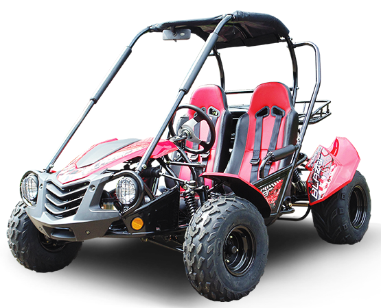 TrailMaster Blazer 200 Buggy Go Kart