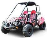 TrailMaster Blazer 200 Buggy Go Kart