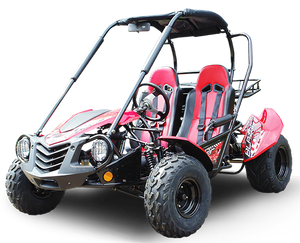 TrailMaster Blazer 200 Buggy Go Kart