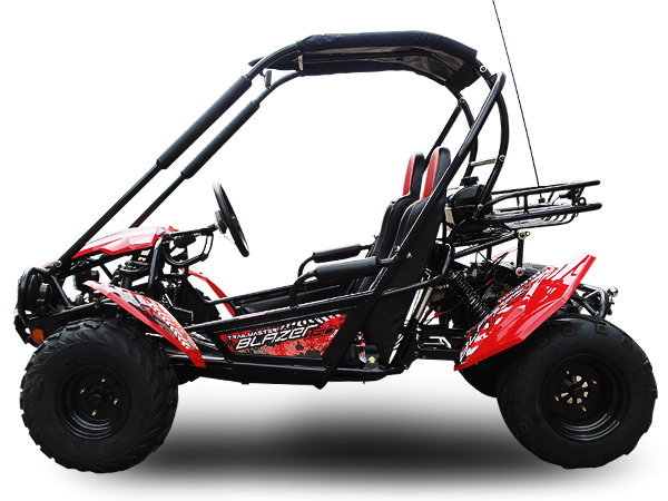 TrailMaster Blazer 200 Buggy Go Kart