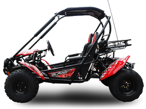 TrailMaster Blazer 200 Buggy Go Kart