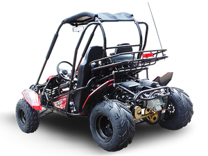 TrailMaster Blazer 200 Buggy Go Kart