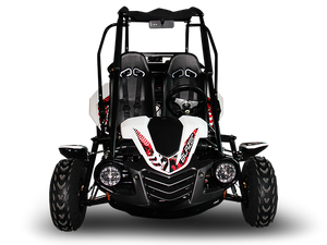 Blazer 200R MID-Size Go Kart, 7.5hp Torque Converter, Electric Start with Reverse KIDS OVER 8 and ADULTS upto 6'1"