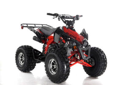Blazer9 DLX 125cc Sport ATV, Fully-Automatic with Reverse, Deluxe 8 inch Alloy Wheels, Ages 12 and up - GoKarts USA®