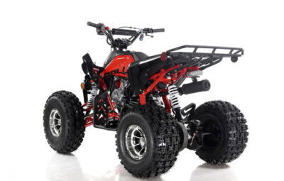 Blazer9 DLX 125cc Sport ATV, Fully-Automatic with Reverse, Deluxe 8 inch Alloy Wheels, Ages 12 and up - GoKarts USA®