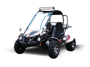 TrailMaster Blazer 200EX EFI Buggy Go Kart, LED Light Bar, Windshield Included