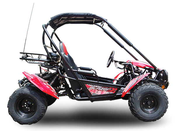 TrailMaster Blazer 200 Buggy Go Kart