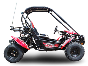 TrailMaster Blazer 200 Buggy Go Kart