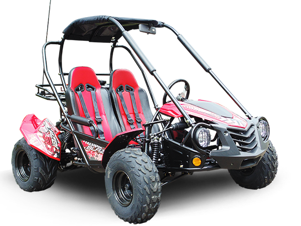 TrailMaster Blazer 200 Buggy Go Kart