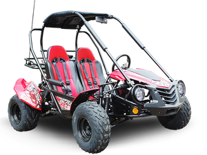 TrailMaster Blazer 200 Buggy Go Kart