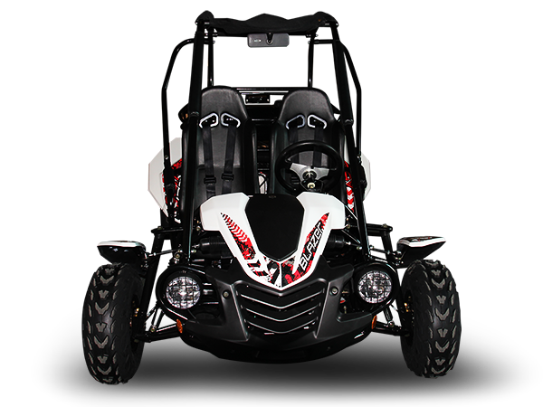 TrailMaster Blazer 200 Buggy Go Kart