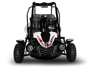 TrailMaster Blazer 200 Buggy Go Kart