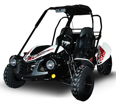 TrailMaster Blazer 200 Buggy Go Kart