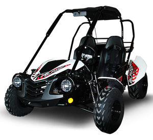 TrailMaster Blazer 200 Buggy Go Kart