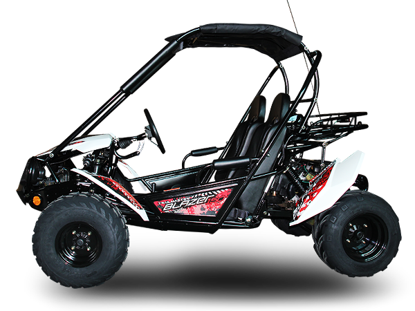 TrailMaster Blazer 200 Buggy Go Kart