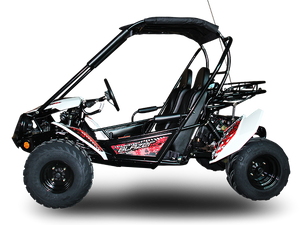 TrailMaster Blazer 200 Buggy Go Kart