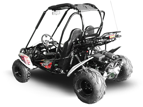 TrailMaster Blazer 200 Buggy Go Kart