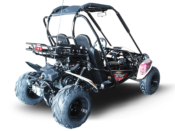 TrailMaster Blazer 200 Buggy Go Kart