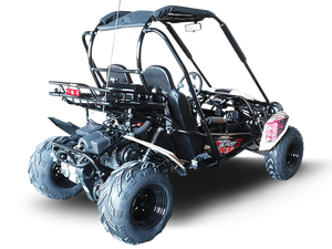 TrailMaster Blazer 200 Buggy Go Kart