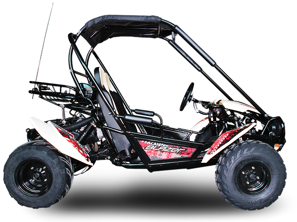 TrailMaster Blazer 200 Buggy Go Kart