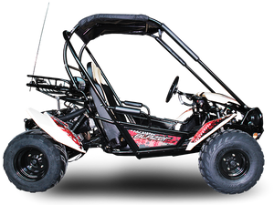 TrailMaster Blazer 200 Buggy Go Kart