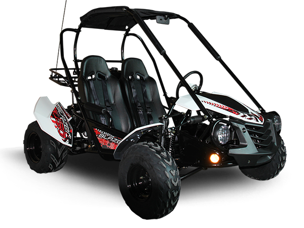 TrailMaster Blazer 200 Buggy Go Kart