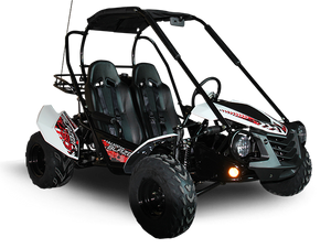 TrailMaster Blazer 200 Buggy Go Kart