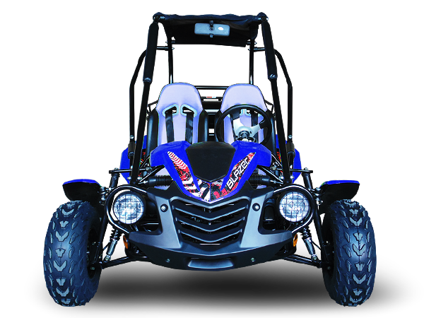 TrailMaster Blazer 200 Buggy Go Kart