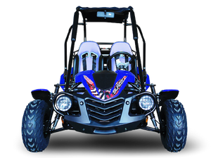 TrailMaster Blazer 200 Buggy Go Kart