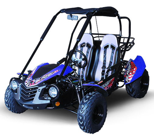 TrailMaster Blazer 200 Buggy Go Kart